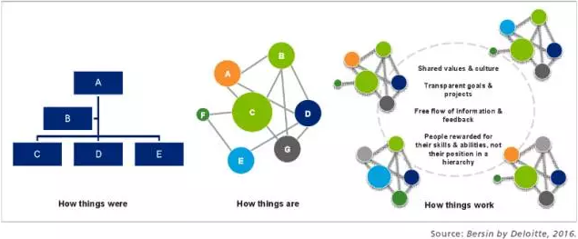 组织结构变化 组织结构变化