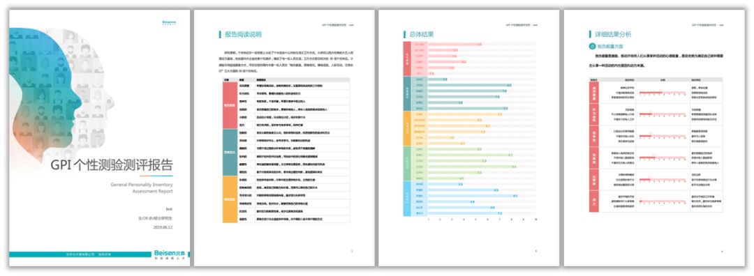 GPI个性测评报告