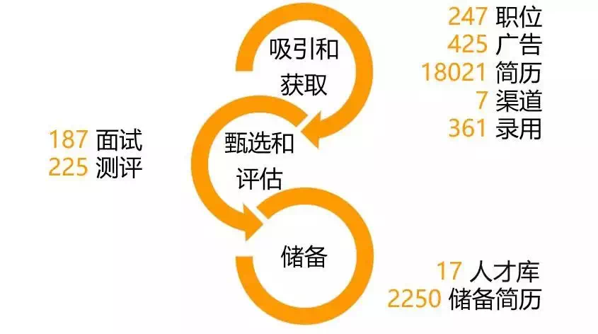 招聘总体概览 招聘总体概览