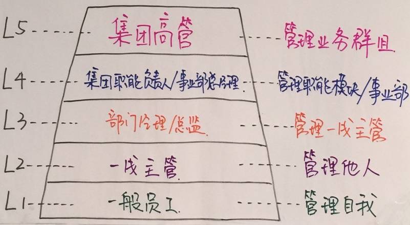 各职级的管理职责